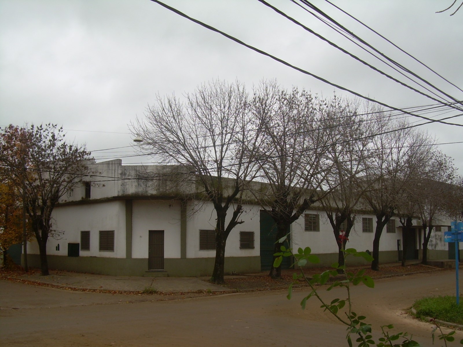 DSCN6016_baja